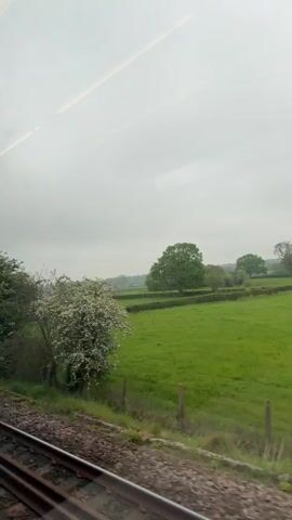 The video shows a train traveling past a rural landscape. The scene is viewed from inside the train, through a window. The sky is overcast and gray. The landscape consists of fields and trees. Some trees are in bloom with white flowers. There is a yellow box near the train tracks at one point. The train tracks are visible in the foreground.