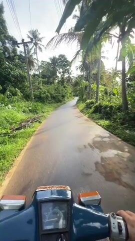 A first-person perspective video shows a person riding a blue moped on a narrow, wet asphalt road. Lush green vegetation flanks both sides of the road, with tall palm trees scattered throughout. Overhead power lines run parallel to the road. The moped's speedometer and handlebars are visible in the foreground, displaying some rust. The sky is bright with sunlight and some clouds. The camera remains relatively steady throughout the video, capturing the forward movement of the moped.