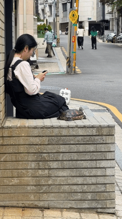 Late-night casual moments captured across Seoul cafes and streets