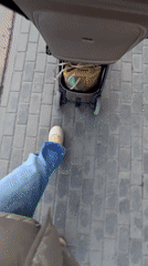 Sunny day brings casual moments to Khimki residents