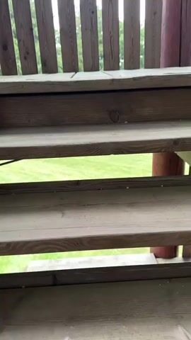 The video begins looking down on wooden stairs. The camera pans up to show a wooden deck with a railing made of vertical wooden planks. Beyond the railing, there is a view of green trees and a gray sky. The camera continues to pan upwards, revealing more of the wooden railing and a thick wooden post. Finally, the camera pans to show a wide view of a green field, a road, a line of trees, and mountains in the distance under a cloudy sky, framed by the wooden structure of what appears to be a viewing platform.