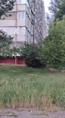 Soviet-era apartment blocks and overgrown lots in Homyel