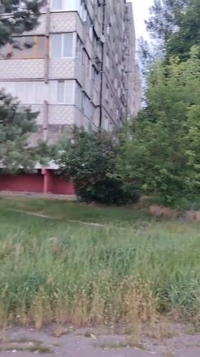 Soviet-era apartment blocks and overgrown lots in Homyel