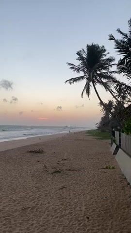 A person walks along a sandy beach near the water's edge during sunset. Palm trees are visible on the right side of the frame, and waves crash on the shore. The sky is a soft gradient of orange, pink, and blue, with a few clouds scattered across it.