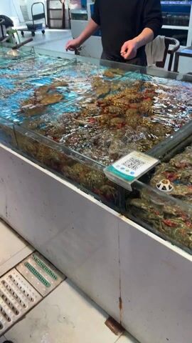 In a medium shot, a person wearing a black long-sleeved shirt stands behind a glass tank filled with water and numerous crabs. The person points at the crabs, as another hand joins in to point as well. The crabs vary in color from shades of brown to green, with some having red accents. The water is clear enough to see the bottom of the tank. A sign with a QR code is visible in the foreground. The tank is part of a larger setup, with other tanks visible in the background. The area appears to be a market or seafood vendor setting.