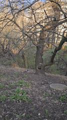 Sofia residents document urban wildlife and architecture scenes