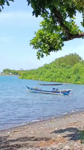 The video shows a serene coastal scene. The foreground is dominated by a sandy beach with small pebbles. Overhanging the beach is a tree with full green foliage.  The medium distance features a calm body of water, its surface rippling gently. Moored in the water is a small, blue and white boat, equipped with a simple canopy. Beyond the boat, lush greenery covers a small island or headland, providing a vivid backdrop. The sky is clear and blue, indicating a bright, sunny day. The overall scene evokes a sense of tranquility and natural beauty.