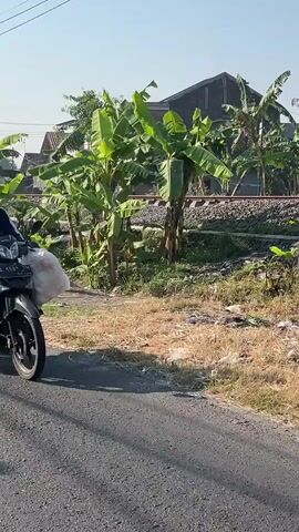 A person rides a black motorcycle down a paved road. The motorcycle is carrying a large, white plastic bag on the back. The road is next to a dry, grassy area with some scattered debris. Behind the grassy area is a set of railroad tracks. Beyond the tracks, there are several banana trees and some buildings. The sun is shining, casting shadows.