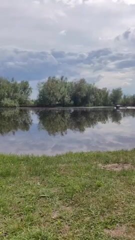 A calm body of water reflects trees and clouds. The foreground is a patch of green grass. In the middle ground, a dark object appears to be moving on the water. It is a bird, possibly a duck, swimming across the water.