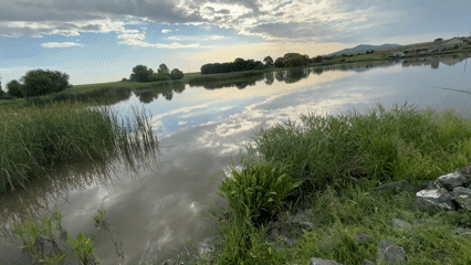 Early morning fishing trip yields large carp catch