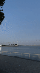 Evening waterfront memories captured in Lisbon, Portugal