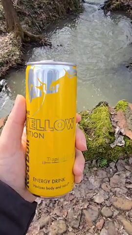 The video starts with a close-up of a hand holding a yellow Red Bull can, with a stream in the background. The camera then pans up to show a wider view of the stream flowing through a wooded area. The banks are lined with trees and undergrowth. The camera moves along a small brick bridge covered in moss, looking across the stream. In the distance, a grassy field is visible with scattered trees, a small building, and picnic tables. The ground is covered with fallen leaves.