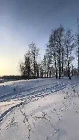 The video presents a wide-angle, panoramic view of a snow-covered landscape under a blue sky, with the sun shining brightly on the left side of the frame. In the initial shot, a cluster of bare trees stands on a snow-covered hill, their branches reaching upwards. The ground is uniformly covered in a thick layer of snow, with visible footprints marking a path across the terrain. As the camera pans to the right, the landscape unfolds to reveal a more expansive vista of rolling hills and valleys blanketed in snow. Scattered trees and shrubs punctuate the landscape, adding depth to the scene. The camera continues its smooth pan, revealing a distant treeline on the horizon. The overall atmosphere is serene and crisp, indicative of a clear, cold winter day.
