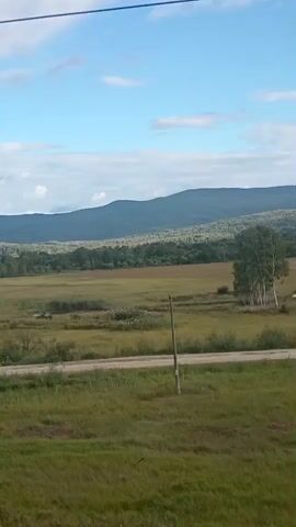 The video shows a landscape with rolling hills and a clear sky with scattered clouds. In the foreground, there is a grassy field with some bushes and trees. A dirt road runs through the field. In the middle ground, there is a large open field with some vegetation. In the background, there are hills covered with trees. The video appears to be filmed from a moving vehicle, as the scenery is constantly changing. The lighting suggests it is daytime, possibly late afternoon, given the long shadows. There are no people or animals visible in the video. The overall impression is one of a peaceful, rural landscape.