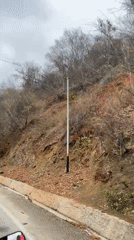Roadside footage captures dry hillside vegetation in Tacarigua, Venezuela
