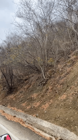 Roadside footage captures dry hillside vegetation in Tacarigua, Venezuela