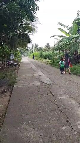 This is a vertical, first-person perspective video of a person walking on a paved road lined with vegetation and palm trees. Two children, one carrying a green backpack, walk ahead on the right side of the road. In the distance, another person is walking. A motorcycle is parked on the left side of the road near some trees. The sky is overcast.