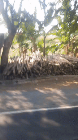 Sukokerto, Indonesia