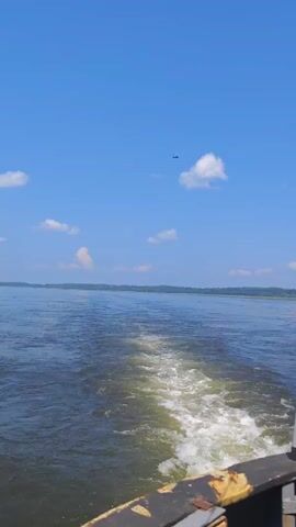 The video is filmed from the perspective of a person on a boat, looking out over a wide expanse of water. The water is a deep blue-green and shows a strong wake trailing behind the boat, indicating movement. The sky is a clear, bright blue with a few small, fluffy white clouds scattered across it. In the distance, the horizon is lined with a faint green band of land. High in the sky, a dark bird is visible, appearing as a small silhouette against the blue. The angle suggests the boat is moving forward, away from the viewer's immediate position, and the bird is either flying in the same general direction or crossing the frame. The overall impression is one of a calm, sunny day on the water.