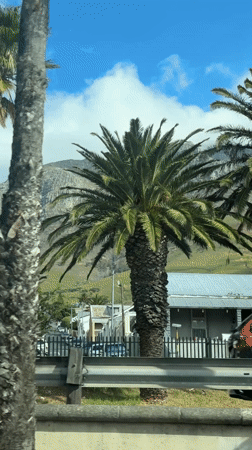 Table Mountain viewed through clouds from Cape Town roadside
