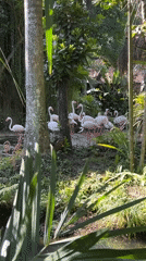 Up close with exotic birds at a Sukawati sanctuary