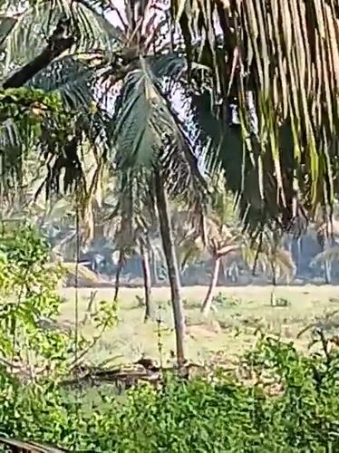 Rural morning scenes documented in Badem, India village