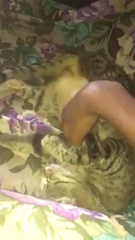 A person's dark-skinned hand pets a gray tabby cat that is lying on a floral-patterned bedspread. The cat is mostly still, with its belly exposed, as the hand strokes and rubs its fur. The floral pattern of the bedspread consists of turquoise, purple, and green flowers and leaves. The background of the shot is dark.