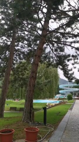 This is a vertical video taken from behind two tall pine trees. In the foreground, there are two large brown potted plants. Behind the trees, there is a green lawn with several park benches. In the background, there is a large body of water, a swimming pool with water slides, and more greenery, including a weeping willow tree. The sky is overcast, and the overall atmosphere suggests a cloudy day at an outdoor recreational area. There are some people visible in the distance, some of whom appear to be relaxing on the lawn or near the water.