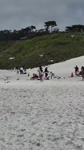 A beach scene with several people spread out on the sand. Seagulls are present on the beach and in the air. Some people are sitting or lying on blankets, while others are standing and interacting. In the background, a grassy hill with trees and people is visible under an overcast sky.