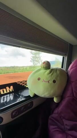 A stuffed toy, resembling a round green avocado with small feet and a brown stem on its head, sits on a purple blanket next to a window. The toy has a smiling face with dark brown eyes and a thin, curved mouth. Outside the window, there is a landscape with green trees, a reddish-brown field, and a cloudy sky. The scene appears to be from inside a vehicle, with a portion of the vehicle's interior visible, including a dark dashboard with buttons and a phone resting on a black surface. The window has horizontal blinds partially drawn. Text that reads "MON" is visible on a black surface to the left of the stuffed toy. The overall impression is a cozy and somewhat whimsical scene, possibly depicting a journey on a cloudy day in Pleiku, Vietnam.