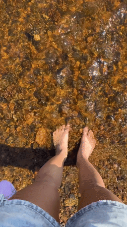 Person enjoys barefoot wading in clear waters near Zelenogorsk
