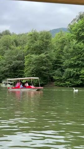 The video shows a pedal boat with four people on a lake. Two people are in the front, and two are in the back. The boat is red and white with a canopy. There are two white swans in the water to the right of the boat. The lake is surrounded by trees, and a mountain is visible in the background. The sky is cloudy. The boat is moving to the left of the frame.