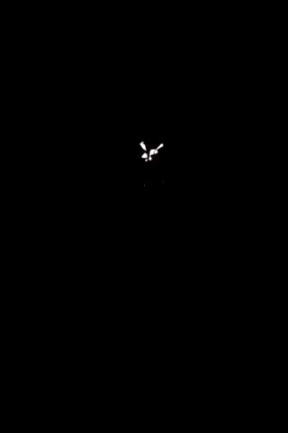 The video captures a brief, explosive event. It begins with a small cluster of bright, flickering lights against a black background. These lights are concentrated in the center of the frame and appear to be actively burning or detonating. As the video progresses, the lights flare and change shape, with some fragments appearing to break away and dissipate. The overall impression is of a miniature, contained explosion or a cluster of small, intense light sources. The event is over within a few seconds, leaving the screen entirely black.