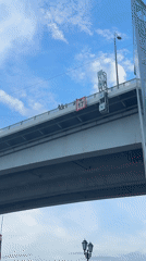 Bridge gathering and costumed horse spotted in Rostov-on-Don