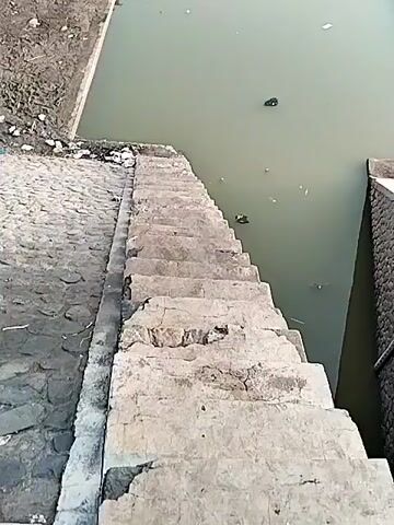 The video shows a set of stone stairs descending into a body of murky, greenish water. The stairs appear worn and damaged. On the left bank of the water, there is a patch of dry earth and some debris. On the right bank, there is a stone wall. In the water, there are several dark objects that appear to be trash or debris floating on the surface. In the distance, along the left bank, a person is visible, seemingly sitting or crouching. The lighting suggests it is daytime.