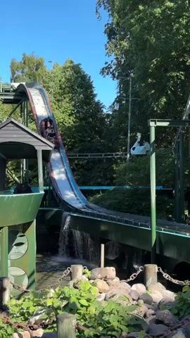 A log flume ride at an amusement park is shown. A log-shaped boat with several passengers is descending a steep, watery slope, creating a large splash as it enters a pool of water at the bottom. The surrounding environment is lush and green with trees and foliage. In the background, a swan-shaped decoration is visible on a track. The ride appears to be in motion, with water cascading down the slide and churning in the pool. The passengers seem to be enjoying the ride, with some appearing excited or surprised by the splash. The sky is clear and blue, indicating a sunny day.