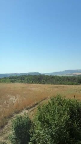 The video shows a wide shot of a rural landscape on a clear day. The sky is a bright, cloudless blue. In the foreground, there are trees with green leaves. Behind the trees, a field of dry, golden grass stretches across the middle ground. A dirt path winds through the grass. In the background, rolling hills covered in green vegetation rise against the horizon. There are distant trees and some structures, possibly wind turbines, visible on the hills. The overall impression is one of a peaceful, sun-drenched countryside. There are no people or animals visible in the video.