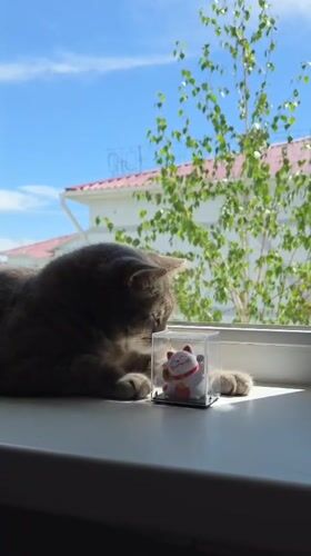 Early morning domestic life documented in Birobidzhan home
