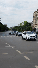 Morning traffic rolls through a tree-lined Bucharest boulevard