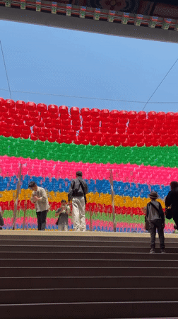 Early morning temple visit features colorful lanterns in Seoul