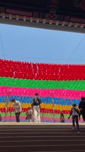 Early morning temple visit features colorful lanterns in Seoul