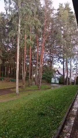 The video shows a view of a park-like area with trees and grass from a covered walkway or patio. The ground is wet, suggesting it has recently rained. There is a metal object on the walkway. In the background, there are several tall trees, a small building or shed, and some more distant structures. The sky appears overcast.