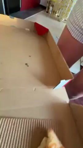 The video starts with an overhead view of a partially eaten pizza in a cardboard box, set on a red surface with other indistinct items. The camera rotates to reveal a woman with long reddish-brown hair wearing a white t-shirt. She takes a bite of a slice of pizza. The camera angle is upside down. The background behind her reveals a room with framed artwork and furniture.