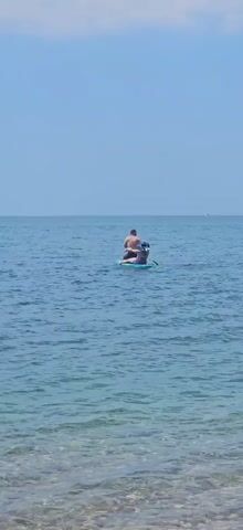 A man and a woman are on a paddleboard in the ocean. The man is standing and holding a paddle, while the woman is lying on the paddleboard behind him. The water is blue, and the sky is clear. The sun is shining. The paddleboard is blue and white. The man is wearing dark shorts. The woman is wearing a dark bikini. The woman has her legs up in the air.