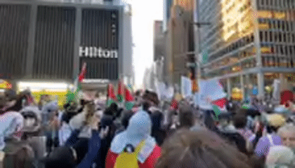 NYC protesters demonstrate against Mayor Mundani with Palestinian flags