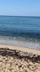 Morning beach scenes captured along Alanya Turkey coastline