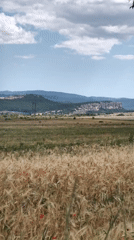 Cycling through golden wheat fields in rural Ukraine, summer 2026
