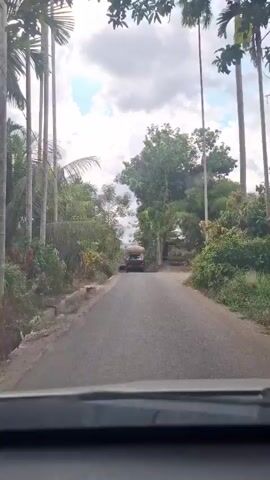 A rear view from inside a vehicle shows a paved road lined with lush green trees and vegetation. The sky above is partially cloudy with a mix of white and gray clouds. In the distance, a truck with a large load is traveling away from the camera, with foliage obscuring the view of what it is carrying. The road appears to curve slightly to the right as it goes uphill. The scene suggests a rural or semi-rural environment.