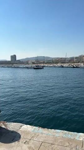 This media file depicts a scenic view of a marina in Palamós, Spain. The foreground features a stone walkway along the edge of the water, with some rust stains and chipping paint visible on the concrete. The water itself is a deep blue, with gentle ripples suggesting a calm day.

The middle ground is filled with a marina packed with various boats. Sailboats of different sizes are moored, their masts creating a vertical line against the horizon. Several white motorboats are also present, some appearing larger and more commercial. In the right portion of the frame, a white fishing boat with an identifiable registration number "3ª BA5-1-02" is docked prominently.

In the background, the town of Palamós unfolds. A skyline of buildings, including several tall, modern apartment buildings, stretches across the horizon. Further down the coast, lower-rise buildings and what appears to be a church steeple can be seen, hinting at the town's historical core. The sky is a clear, bright blue, indicating a sunny day with pleasant weather. The overall impression is one of a vibrant coastal town on a beautiful, clear day, with the marina serving as a central hub of activity. The time of day appears to be late morning or early afternoon, given the bright sunlight and clear sky. There is no visible indication of people in the media file, suggesting a focus on the maritime setting and the town.