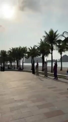The video shows a group of people doing Tai Chi on a paved walkway near a beach lined with palm trees. The sun is shining, and in the distance, there are mountains or large rocks in the sea. A child sits on the edge of the walkway near a red bicycle and some bags. Some people are sitting on the beach in the background.